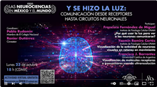 Y se hizo la luz: comunicación desde receptores hasta circuitos neuronales