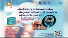 Metales y enfermedades degenerativas: del cerebro al lente humano