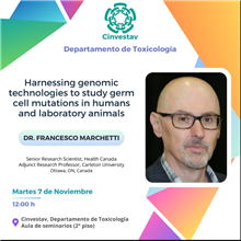 Harnessing genomic technologies to study germ cell mutations in humans and laboratory animals