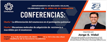 Mecanismo molecular de adquisición de resistencia a macrólidos por el neumococo