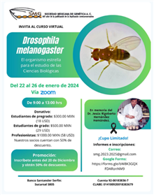 Drosophila melanogaster 