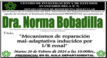 “Mecanismos de reparación mal-adaptativa inducidos por I/R renal”