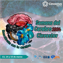 Semana del Cerebro 2024 