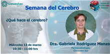 ¿Qué hace el cerebro?
