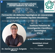 Formación de efectos topológicos en cascarones esféricos de cristales líquidos dicóticos