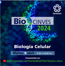 BioCinves 2024