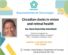 Circadian clocks in vision and retinal health