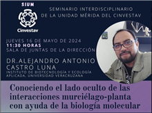 Modelado y simulación de celdas solares de películas delgadas y nanoestructuradas