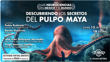 Descubriendo los secretos del Pulpo Maya