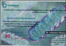 Seminario Extraordinario “The role of MICOS in mitochondrial integrity: insights from cardiac, skeletal muscle, liver, and kidney function during aging