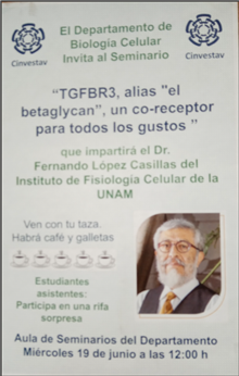 “TGFBR3, alias “el betaglycan”, un co-receptor para todos los gustos”