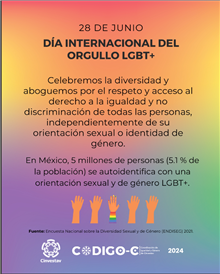 Día Internacional del Orgullo LGBT+