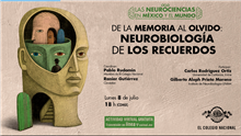 De la Memoria al Olvido: Neurobiología de los Recuerdos