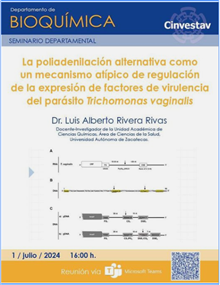 La poliadenilación alternativa como un mecanismo atípico de regulación de la expresión de factores de virulencia del paraíso Trichomonas vaginalis