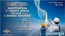 Investigación en Terapia Génica y Celular en el Sistema Nervioso