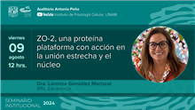 ZO-2, una proteína plataforma con acción en la unión estrecha y el núcleo