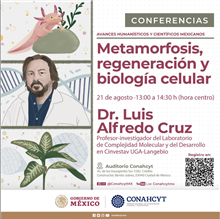 Metamorfosis, regeneración y biología celular