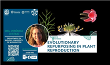 Seminario Evolutionary Repurposing in Plant Reproduction