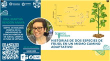 Seminario Historias de dos especies de frijol en un mismo camino adaptativo