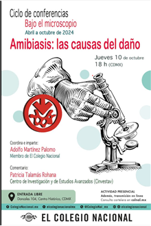 Amibiasis: las causas del daño