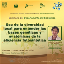Seminario Uso de la diversidad local para entender las bases genéticas y anatómicas de la eficiencia fotosintética