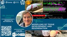 Modelling of Tissue Development and Regeneration