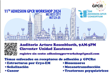 11th Adhesion GPCR Workshop 2024