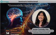 Seminario “Homeostatic Plasticity in the Brain”