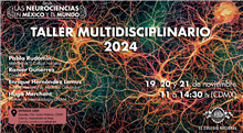 Taller Multidisciplinario 2024