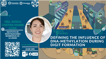 Seminario Defining the Influence of DNA-Methylation During Digit Formation