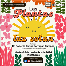 Las Plantas y la luz solar