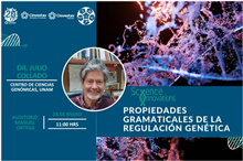 Propiedades gramaticales de la regulación genética