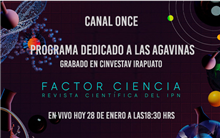 Programa Dedicado a las Agavinas