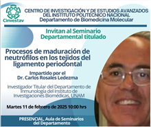 Seminario Procesos de maduración de neutrófilos en los tejidos del ligamento periodontal