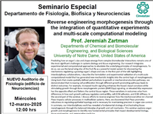 Seminario Reverse engineering morphogenesis through the integration of quantitative experiments and multi-scale computational modeling