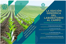 Seminarios especiales 