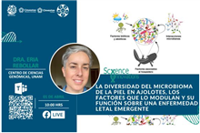 La diversidad del microbioma de la piel en ajolotes. Los factores que lo modulan y su función sobre una enfermedad letal emergente.