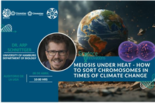 Meiosos Under Heat-How to Sort Chromosomes in Times of Climate Change