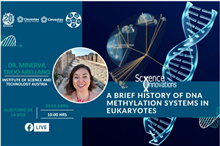 A Brief History of DNA Methylation Systems in Eukaryotes