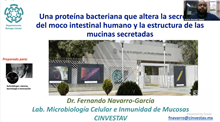 Una proteína bacteriana que altera la secreción del moco intestinal humano y la estructura de las mucinas secretadas
