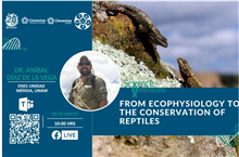 From ecophysiology to the conservation of reptiles