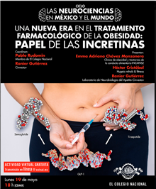 Una nueva era en el tratamiento farmacológico de la obesidad: papel de las incretinas