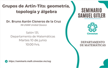 Seminario Grupos de Artin-Tits: geometría, topología y álgebra