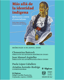 Presentación del Libro Más allá de la identidad indígena