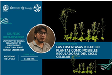 Seminario Las Fosfatasas Kelch en plantas como posibles reguladoras del ciclo celular