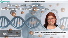 Seminario Mecanismos de regulación transcripcional mediados por cobre