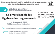 Coloquio La diversidad de las álgebras de conglomerado