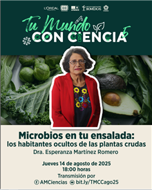 Microbios en tu ensalada: los habitantes ocultos de las plantas crudas