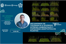 Mecanismos de tolerancia a diversos estreses ambientales y capacidad adaptativa en plantas