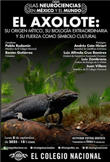 El Axolote: su orígen mítico, su biología extraordinaria y su fuerza como símbolo cultural